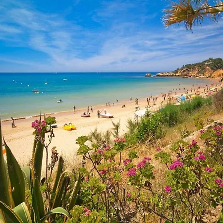 Willa V4, Jardins Branqueira2 Near Beach, *
