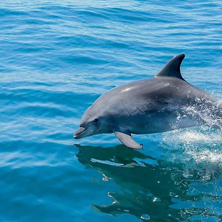 别墅 V4, Jardins Branqueira2 Near Beach,